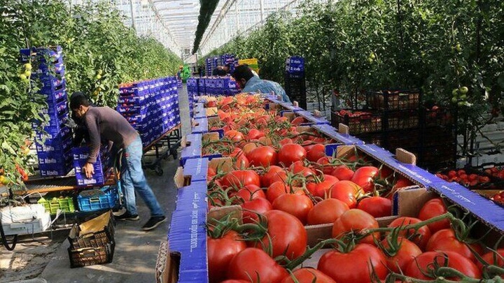توسعه کشاورزی هرمزگان با مصوبات سفر ریاست جمهوری