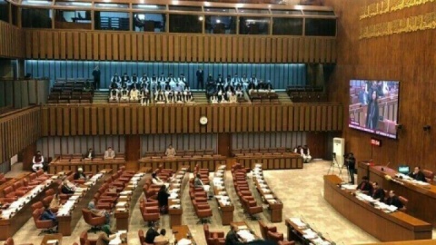 ادای احترام به استقامت ملت ایران در مجلس سنای پاکستان
