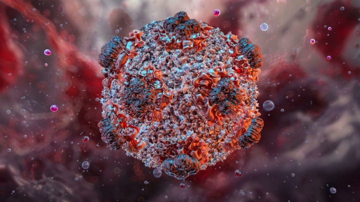 هانتاویروس؛ از علائم تا راه‌های پیشگیری