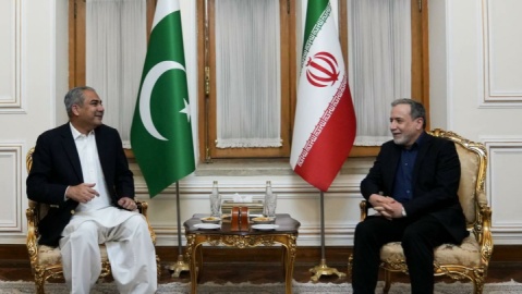 فیلم / دیدار وزیر کشور پاکستان با عراقچی