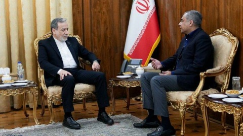 دیدار وزیر کشور پاکستان با عراقچی