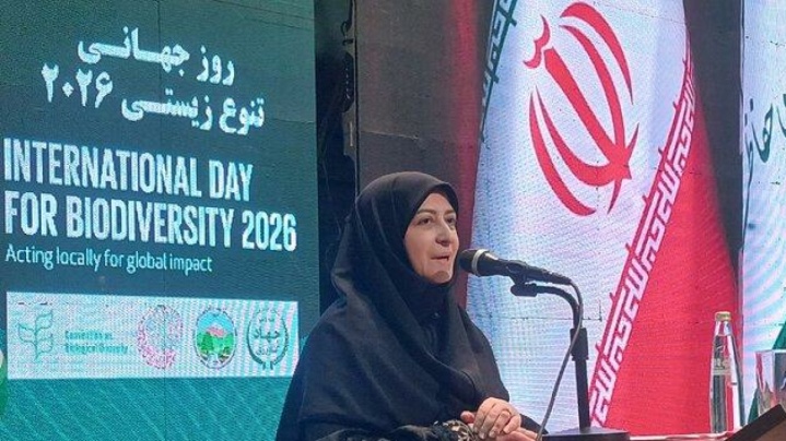 برای یک‌میلیون و ۳۴۰ هزار هکتار از تالاب‌های ایران سند صادر شد