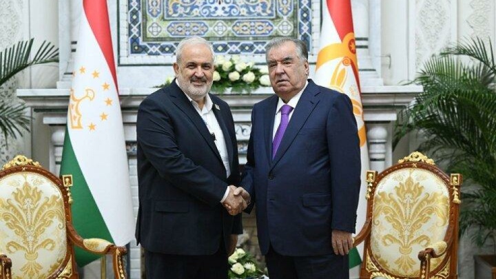 دیدار وزیر نیرو ایران با رئیس جمهور تاجیکستان
