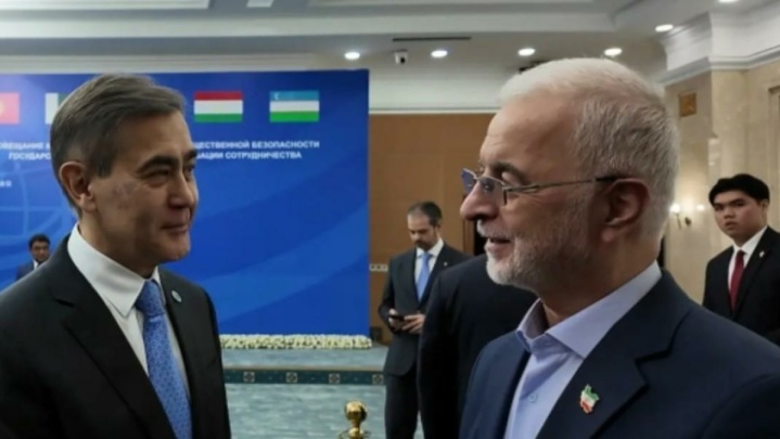 وزیر کشور: سازمان همکاری‌ شانگهای بازیگر بسیار موثری در تحولات جهانی است