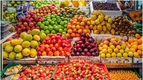 بازار میوه زیر فشار هزینه‌های تولید