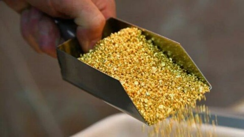 افزایش ملایم قیمت طلا در بازار جهانی