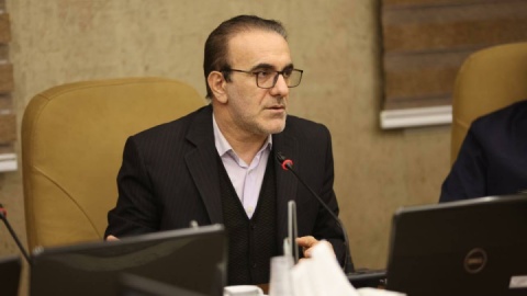 ظرفیت ایران برای نقش‌آفرینی در بازتوانی ورزشکاران پارالمپیک بالا است