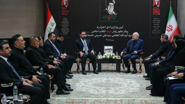 دیدار رئیس مجلس عراق با رئیس مجلس شورای اسلامی