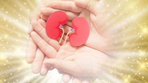 عاملان سرقت ۵۰۰ میلیارد ریالی از منازل اصفهان دستگیر شدند