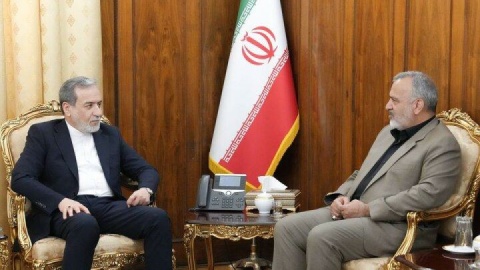 دیدار رئیس سازمان حج و زیارت با عراقچی
