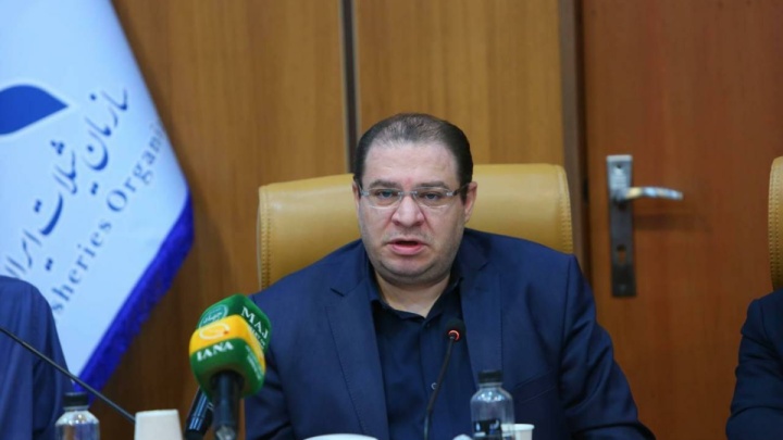گذار از حکمرانی عمودی به افقی / دولت شبکه «از مرز تا مرکز» را عملیاتی می‌کند