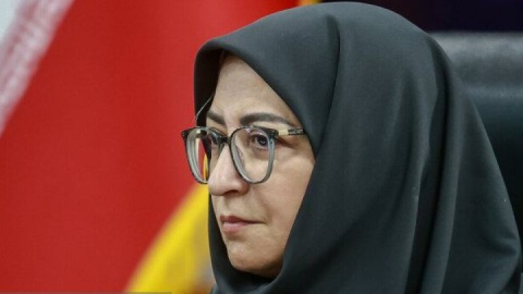 واکنش انصاری به ادعای پناه آوردن آهوهای خارک به مردم از ترس جنگ!