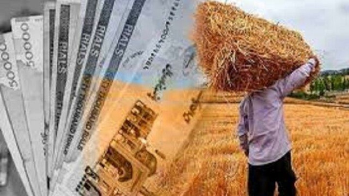 پرداخت ۳۰.۸ همت دیگر از مطالبات گندم‌کاران