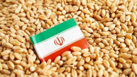ایران دارای سومین ذخایر غلات آسیا