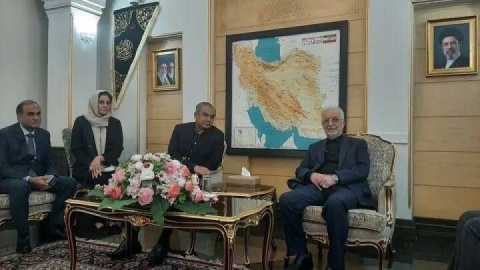 وزیر کشور پاکستان با استقبال مومنی وارد تهران شد