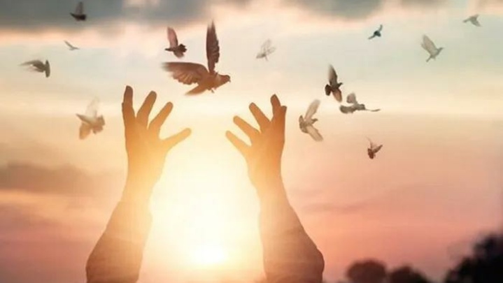 گذشت از قصاص به حرمت امام هشتم(ع)