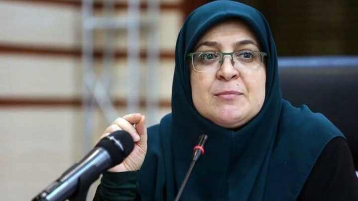 مهاجرانی: اعلام تصمیم دولت درباره بنزین پس از جمع‌بندی
