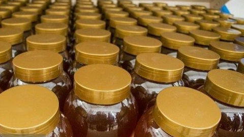 فقط یک درصد عسل ایران صادر شد