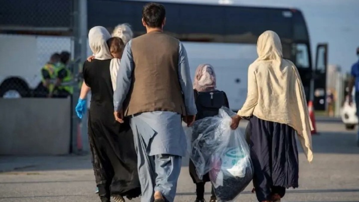 کاهش جمعیت اتباع خارجی به زیر ۵ میلیون نفر
