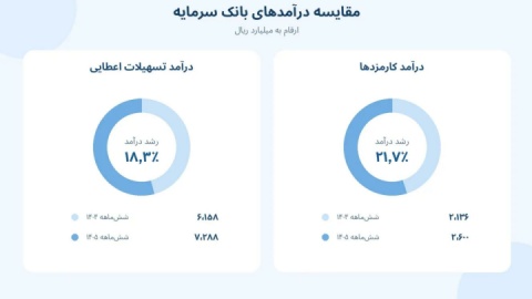 بانک سرمایه در مسیر تقویت درآمدهای عملیاتی
