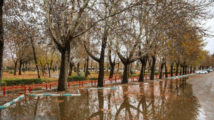 دستگیری سارق با قدم زدن در شب بارانی